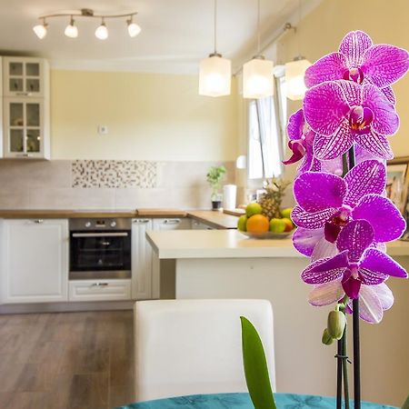 דירות PUY Apartman Maxim מראה חיצוני תמונה